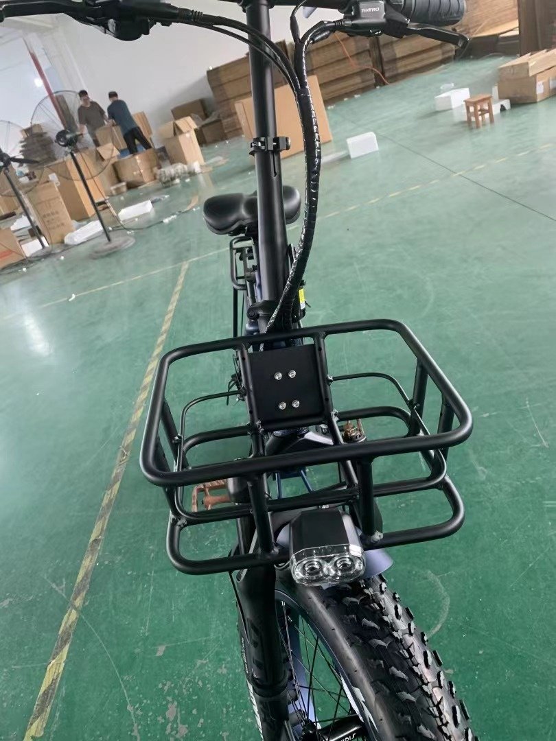 EU warehouse 48v1000w fat tire electric bike custom city e bikes 20*4.0 off-road beach ebike