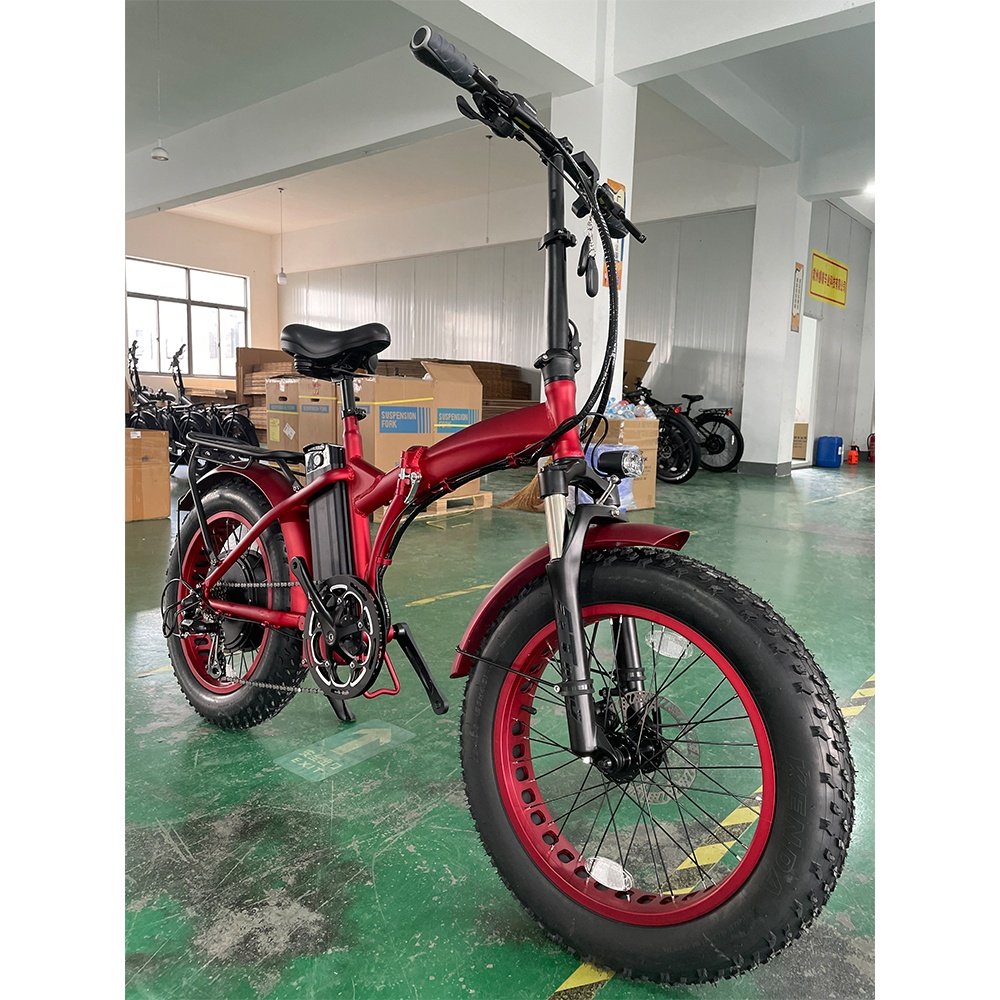 EU warehouse 48v1000w fat tire electric bike custom city e bikes 20*4.0 off-road beach ebike