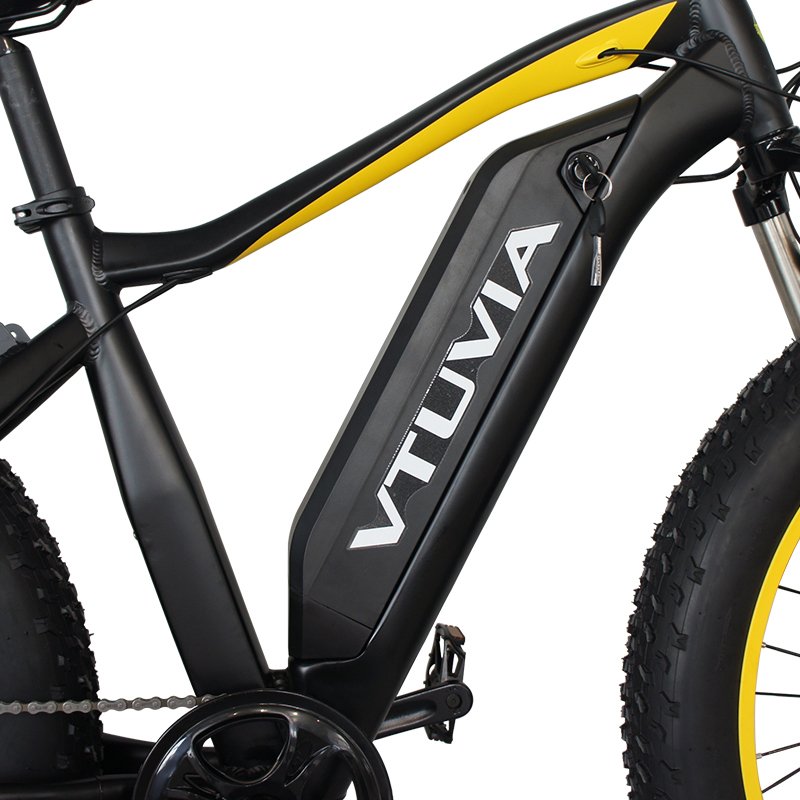 USA EU Canada Warehouse Stock 250W 750w 36V 48v Battery Fat Tire Hub Motor Electric Mountain Hybrid Bike City Bicycle