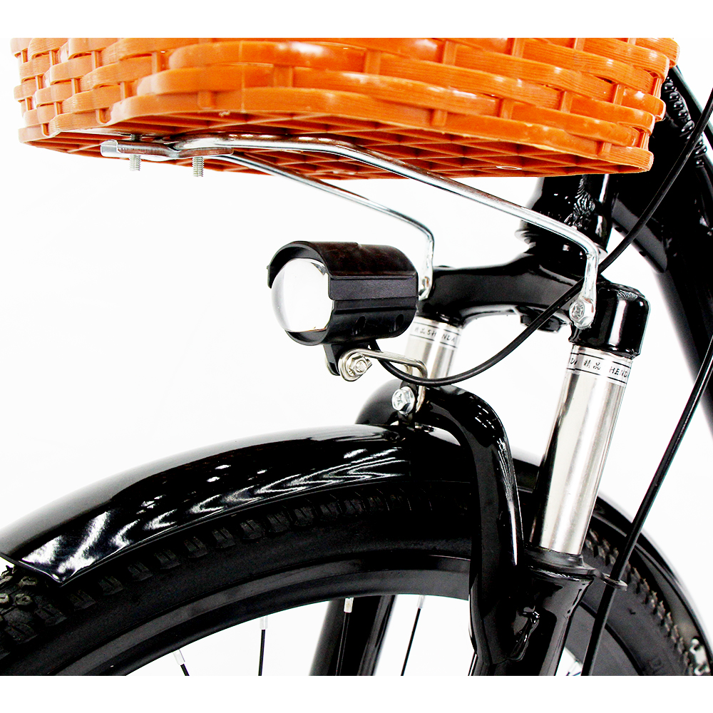 DISIYUAN electric bike 48V 350W 24inch 26 inch for women van moof elektrische fiets moped bike frame ebike plegable