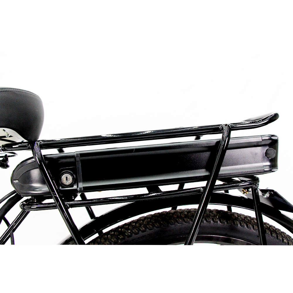 DISIYUAN electric bike 48V 350W 24inch 26 inch for women van moof elektrische fiets moped bike frame ebike plegable