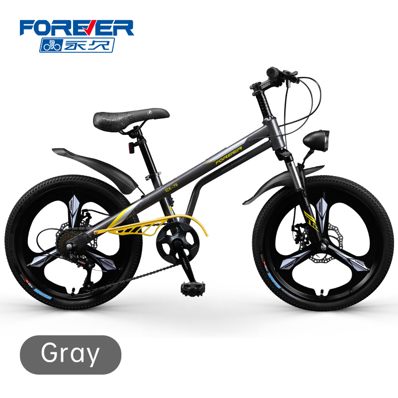 FOREVER High Quality Wear Resistant Thickened High Carbon Steel Frame 20/22 Inch Single /7 Speed Student Bicycle