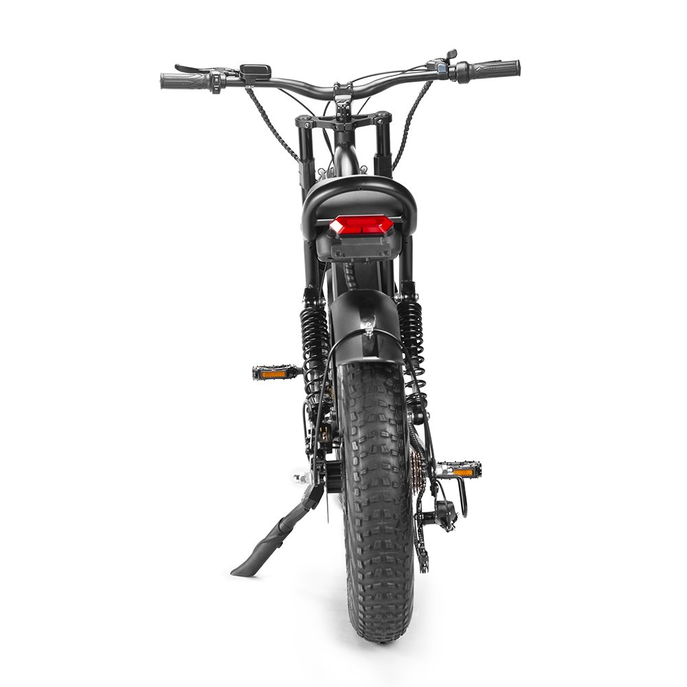 2023 HOT customizable OEM electric bicycle 20inch fat tire electric mountain bike full suspension 1000w bicycle bike 750w