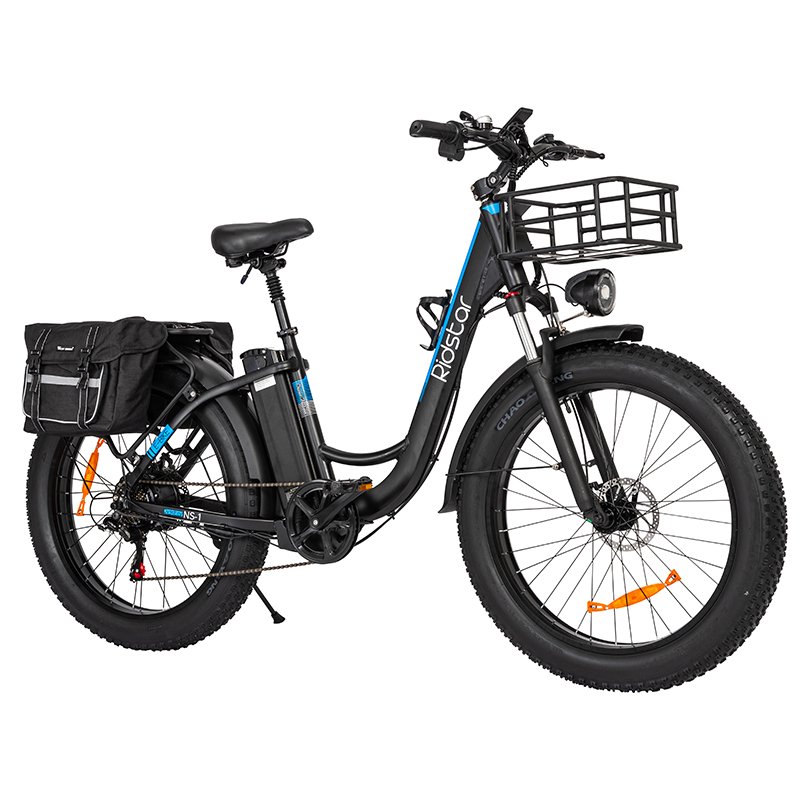 1500w 48V 20ah 36miles 26*4.0 Electric Snow Bike Electric Mountain Bicycle Adults Electric Fat Tire All Terriant Tire Ebike