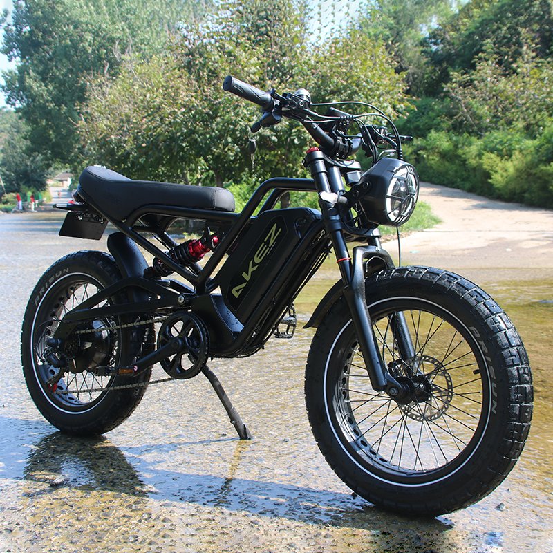 Hot Sale 1500W 52V Rear Hub Motor Electric City Bike 20 Inch Adult Electric Bike