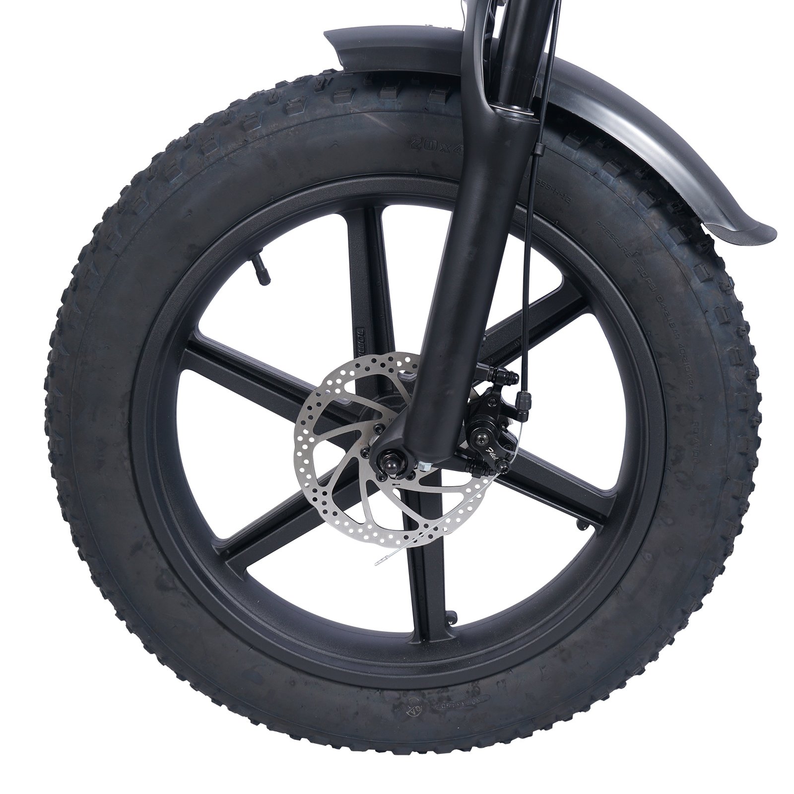 China Factory E-bike Mountain Bicycle 1000w Full Suspension 20inch Fat Tire Ebike Retro Dirt Fatbike Retro Electric Bike
