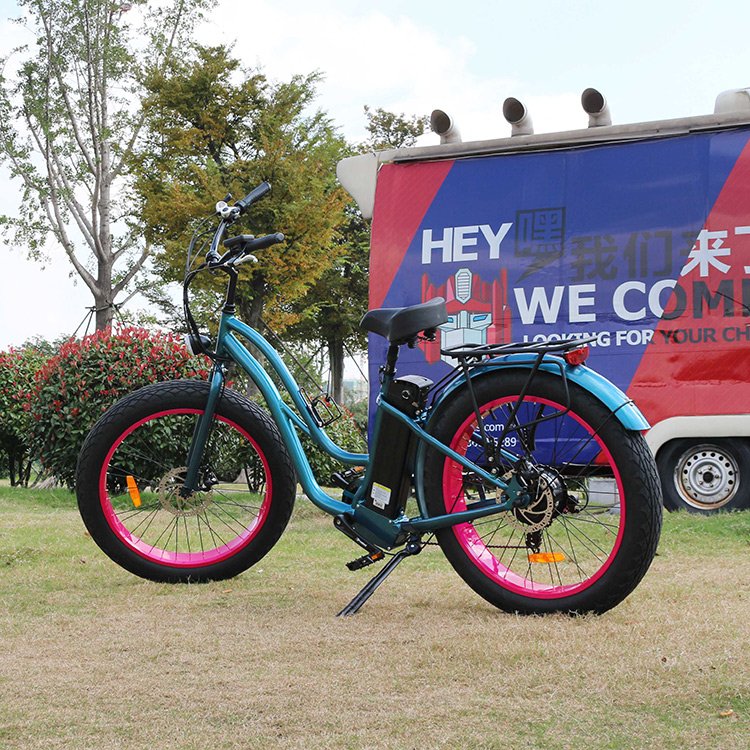 Factory directly sell big fat wheel ebike beach cruiser 250w 750w electric bike
