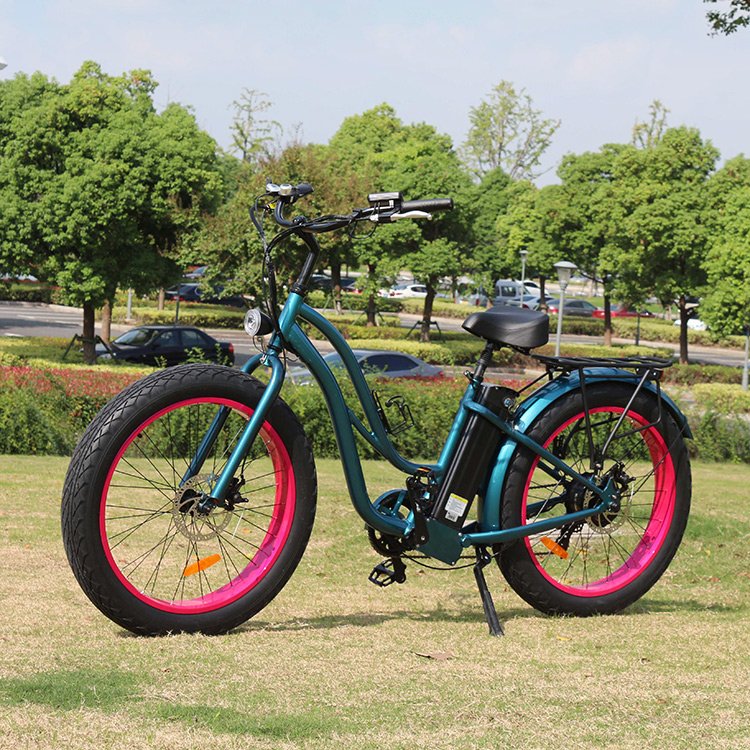 Factory directly sell big fat wheel ebike beach cruiser 250w 750w electric bike