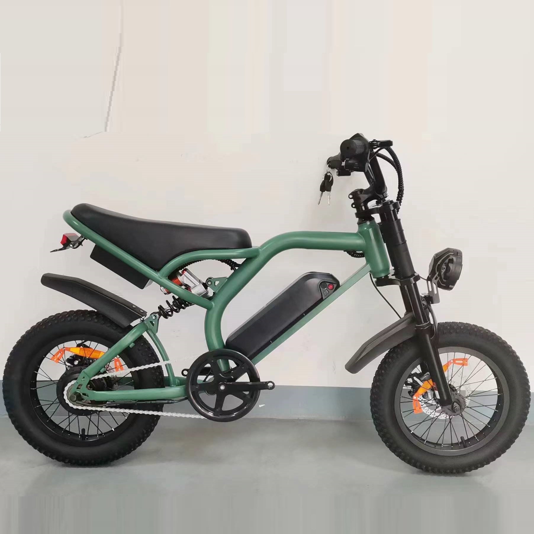 Kid Electric Mountain Bike Fat Tire 48v 350w Off Road Snow Ebike E-bike Bicycle Electric Fat Tyre 16inch