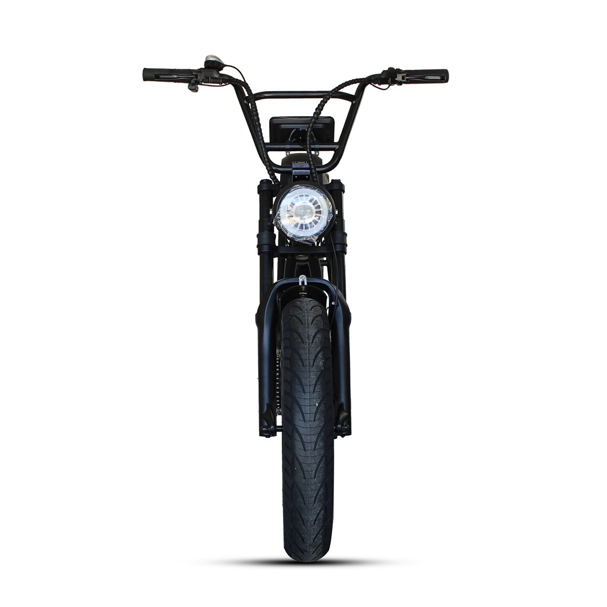 High end fat tire electric mountain bike MTB with 48V 1000W motor 48V 16Ah Li battery disc brake LCD display strong power