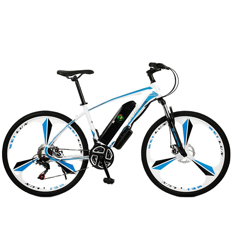 Full suspension bicycle electrica mid drive e mtb mountain ebike 750w electric city bike