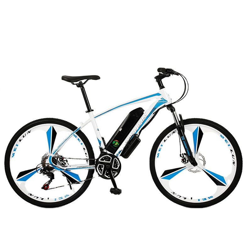 Full suspension bicycle electrica mid drive e mtb mountain ebike 750w electric city bike