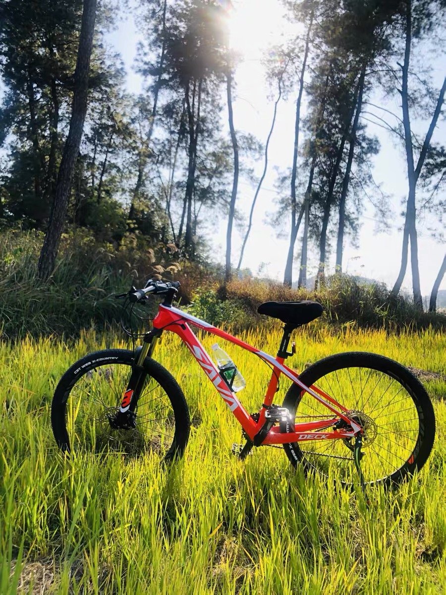 2024 SAVA dika Mountain bike 27 speed carbon fiber frame racing bicycle for adults