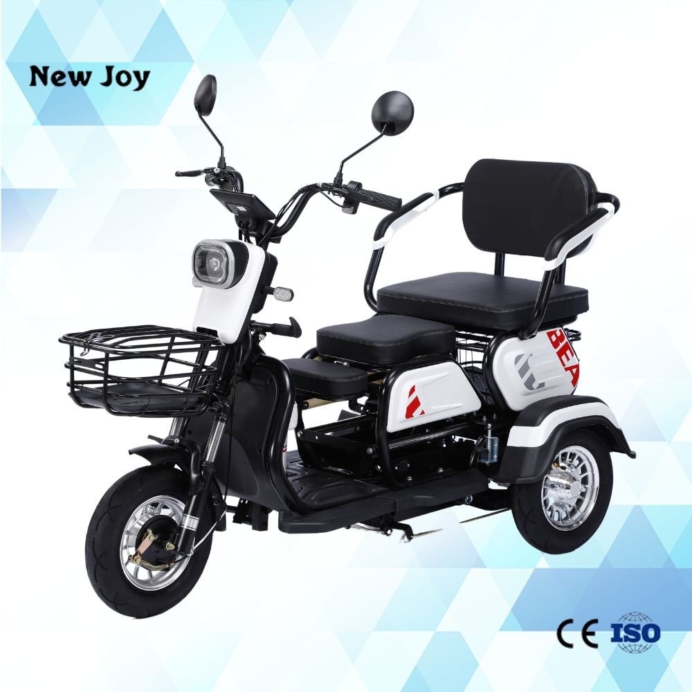 Factory Direct Sale DETRITUS 600W/800W Electric Tricycles Electric City bike 3 Wheel Electric Scooter For Disabled Person