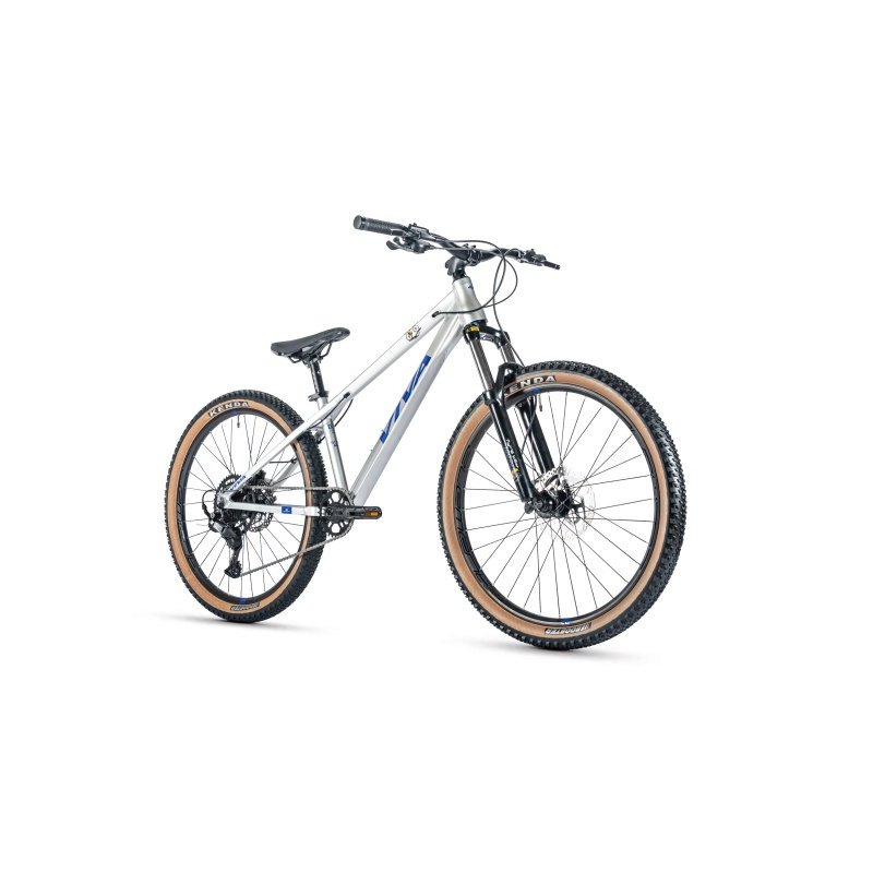 Wholesale VIVA Flying Bear New Design Mountain Bike Cycle 9 Speed For Man And Women