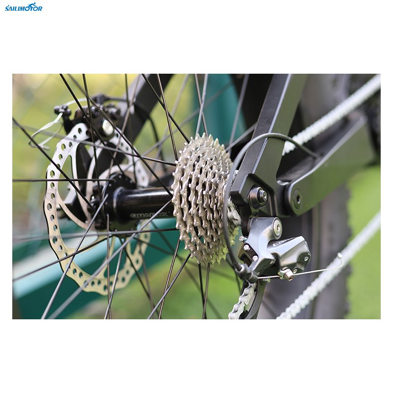 Chinese Electric Bike Carbon Fiber Bike Bafang 48v 1000w Fat Tire Mid Drive Electric Mountain Bike Bicycle