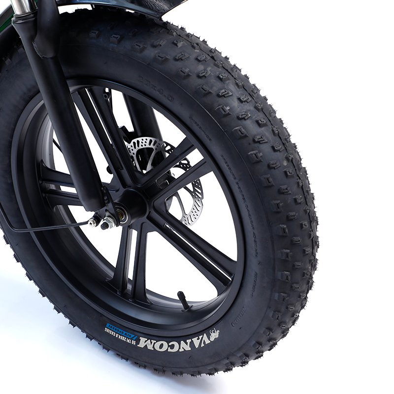 20" Fat Tire Foldable Mountain Electric Bike 48V 7-Speed Central Motor Customized 15ah Aluminum Frame Outdoor Designed CE L20
