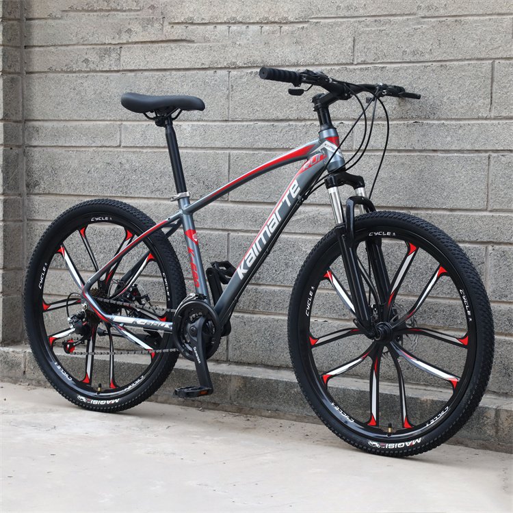 29 inch 21 speed aluminum alloy adult mountain bike