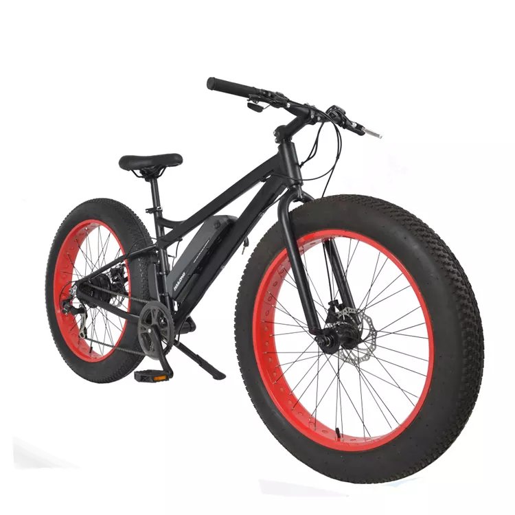 E Bike 1000w 48v Pedal Assist Electric Bike Fat Electric Mountain Bike 26Inch Road oem odm Electric Bicycle Long Range For Adult