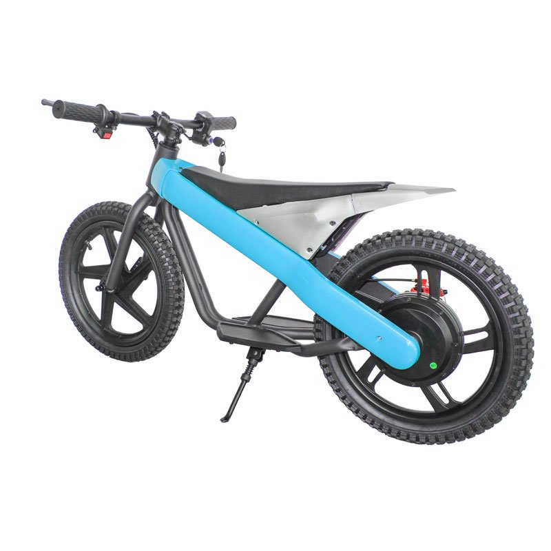 Hot sale Electric Bike Lithium battery 24V 6AH electric city bike 300W Adult Motorbike Low Price
