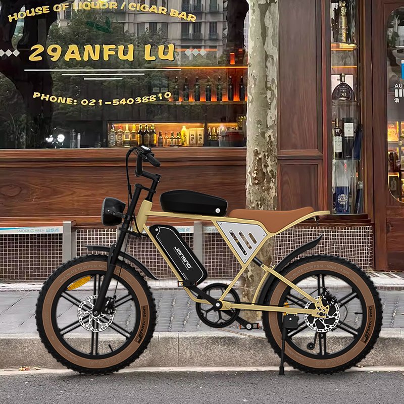 E-bike manufacture wholesale 20 inch electric fatbike 48V 750W 1000W ebike for adults long range electric city leisure bicycle