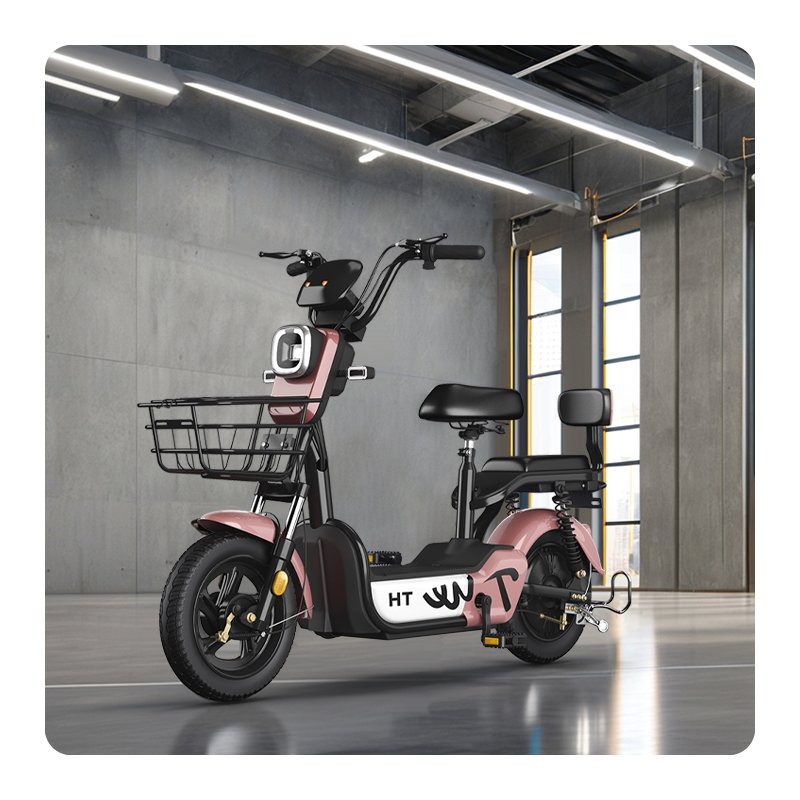 Paige Factory Wholesale 350W 48V Adult Electric City Bike Steel Frame Two-Wheeled Electric Scooter with Lead-Acid Battery