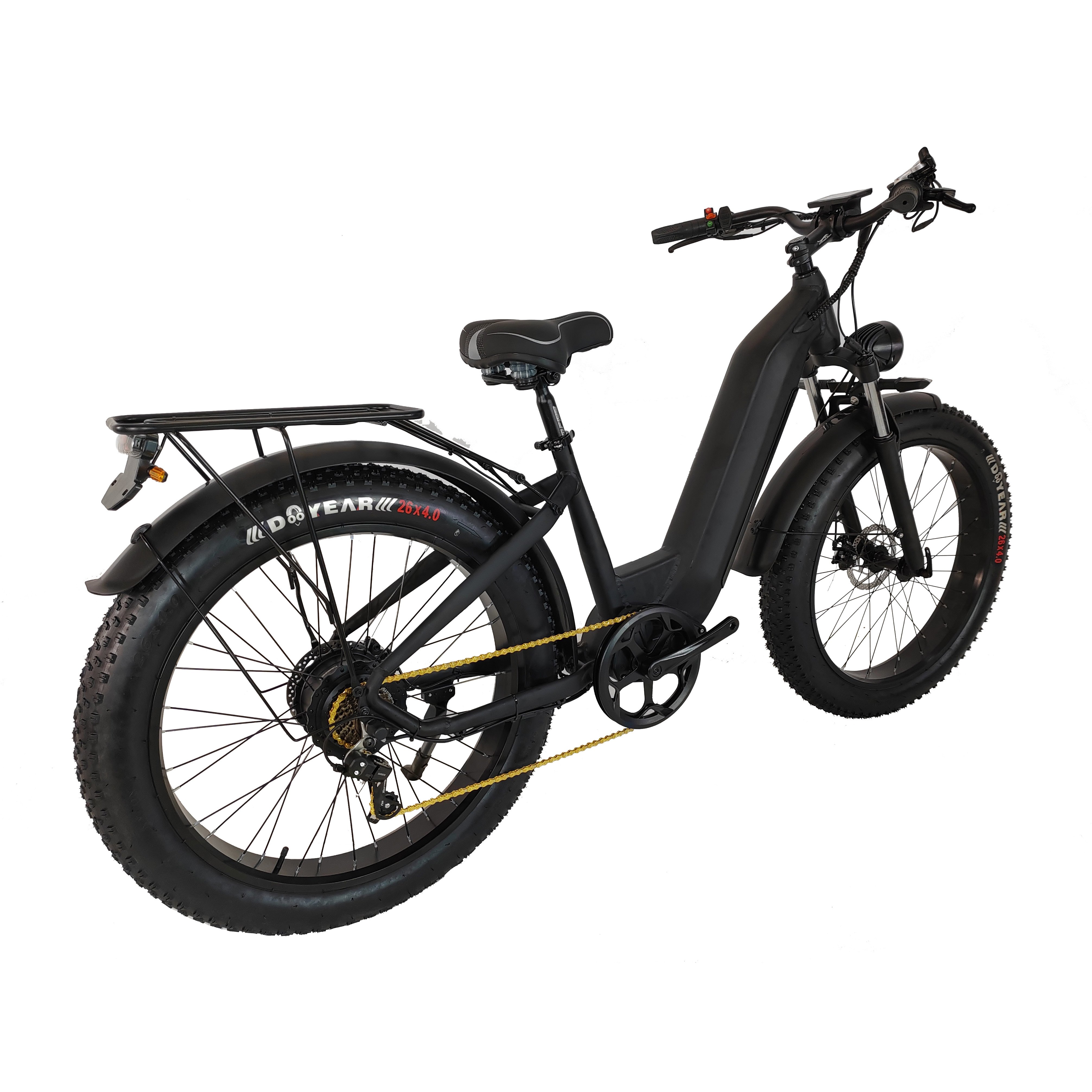E-bike Electric Bicycle 750w 20inch Fat Tire E-bike 250w 25km/h Electric Bike Adult Fatbike