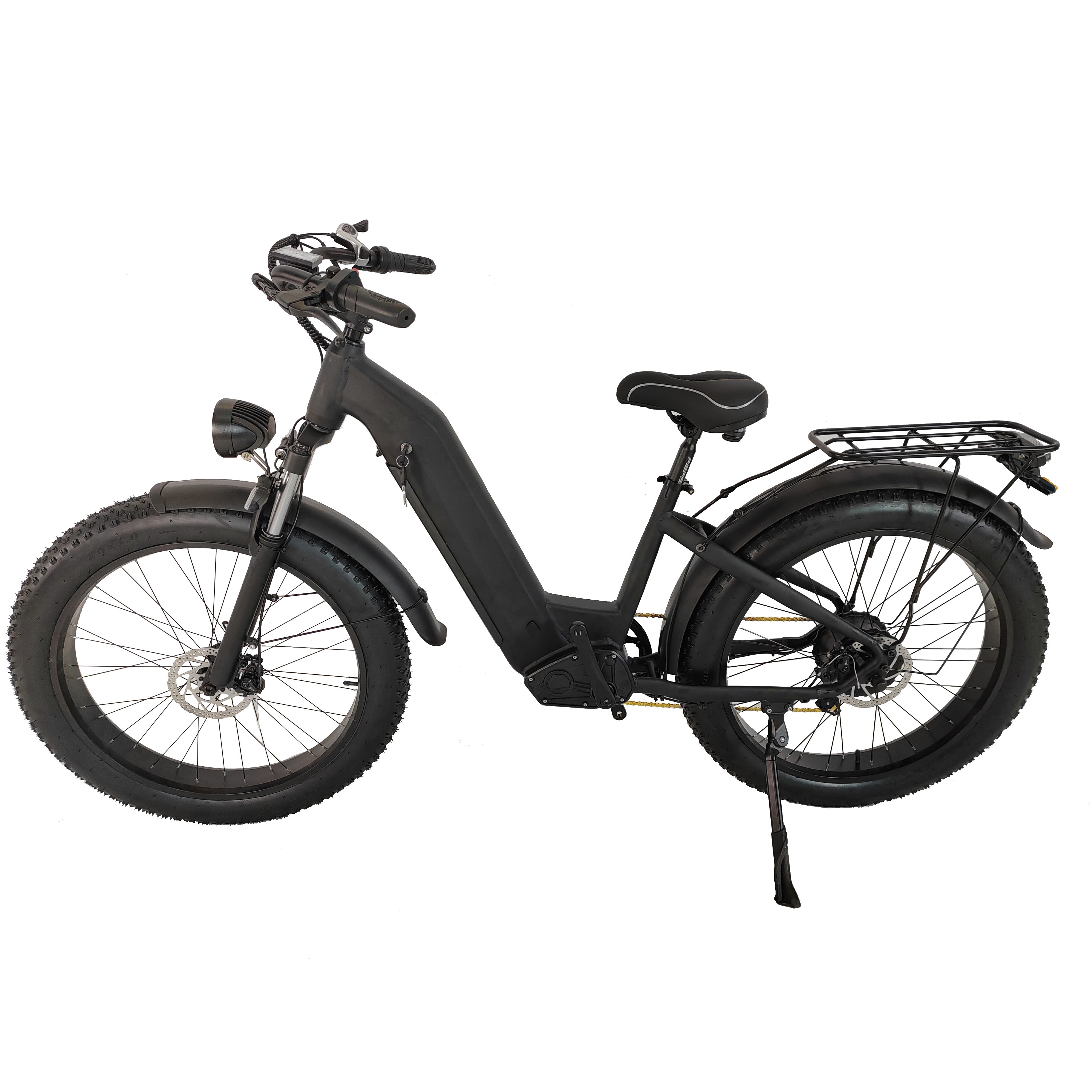 E-bike Electric Bicycle 750w 20inch Fat Tire E-bike 250w 25km/h Electric Bike Adult Fatbike