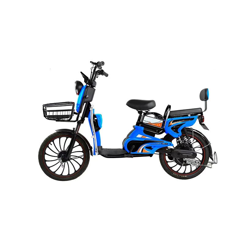 Trustworthy low price electric bike 2 wheels fat tire electric mountain bike high Powered Electric Bike for Women