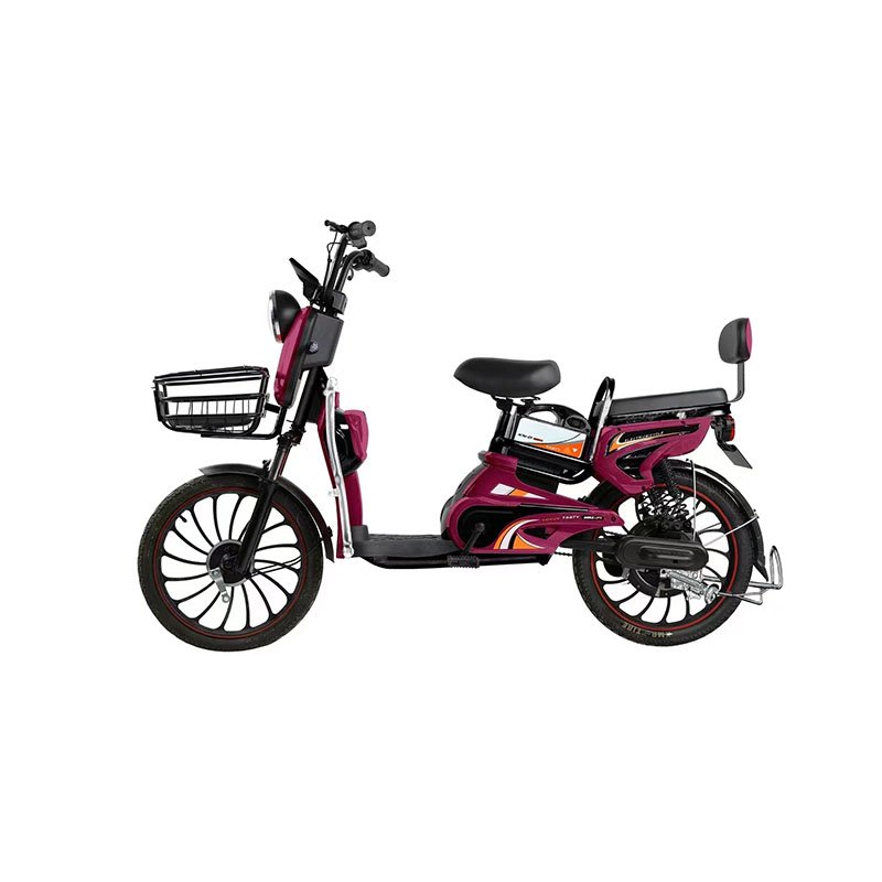 Trustworthy low price electric bike 2 wheels fat tire electric mountain bike high Powered Electric Bike for Women