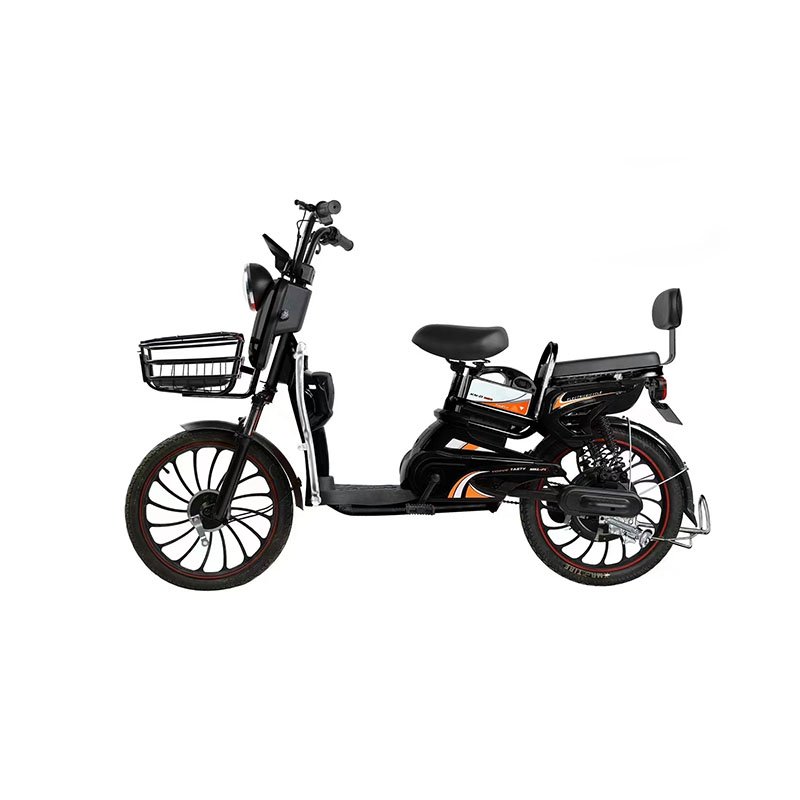 Trustworthy low price electric bike 2 wheels fat tire electric mountain bike high Powered Electric Bike for Women