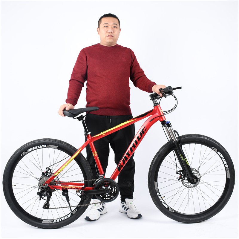 2024 27.5 29inch Full Suspension Mountain Bike with Aluminum Frame Alloy Pedal Speed Model Steel Fork Sports Cycle for Men