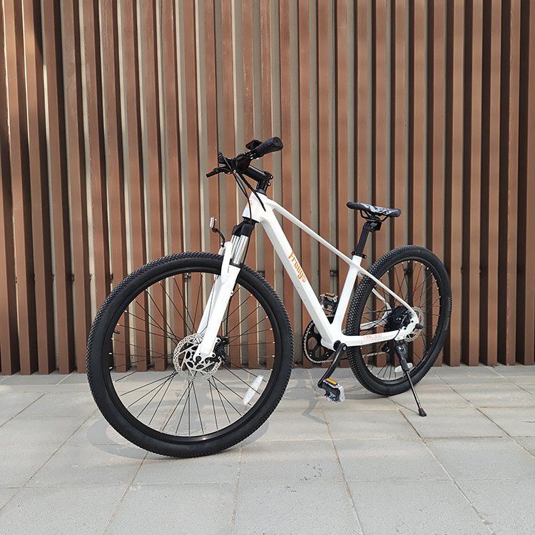 2023 cheap price e bike MTB 250w motor 7-Speed Gear transmission pedal assist electric mountain bike off road