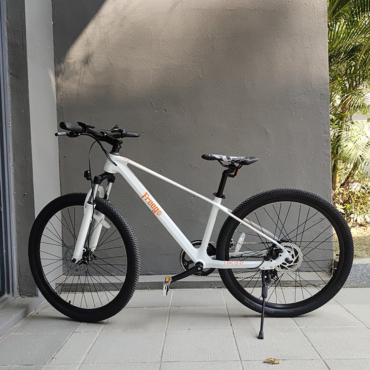 2023 cheap price e bike MTB 250w motor 7-Speed Gear transmission pedal assist electric mountain bike off road