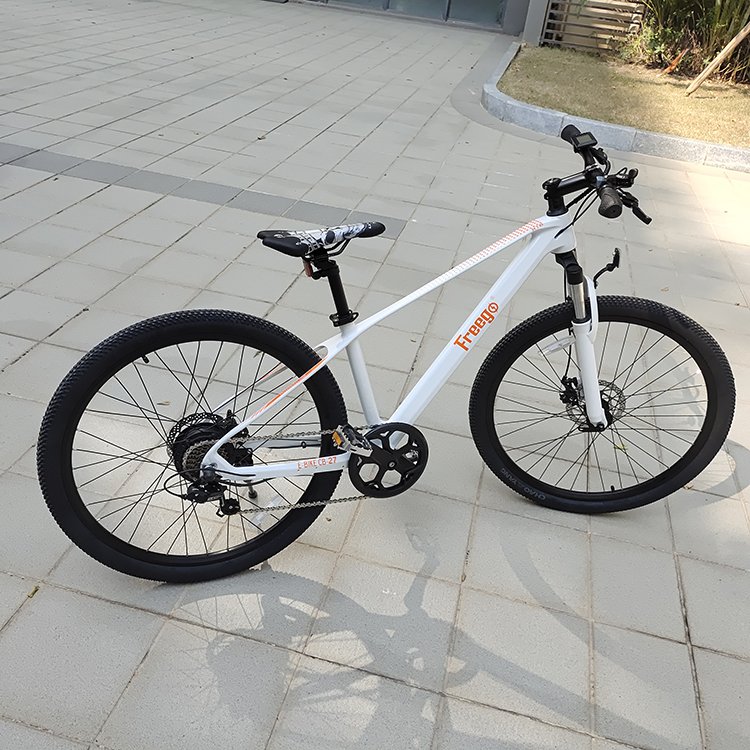 2023 cheap price e bike MTB 250w motor 7-Speed Gear transmission pedal assist electric mountain bike off road