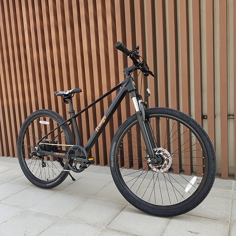 2023 cheap price e bike MTB 250w motor 7-Speed Gear transmission pedal assist electric mountain bike off road
