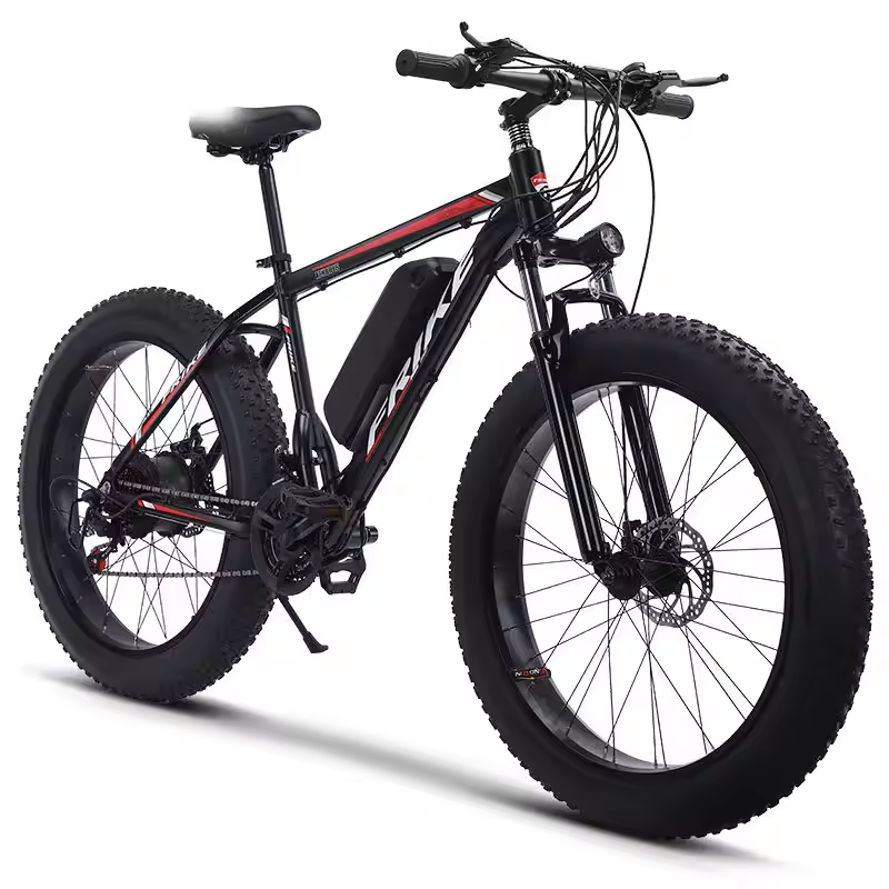 Newspeed hot selling 1000w fat tire e-bike/ beach electric bicycle for sale