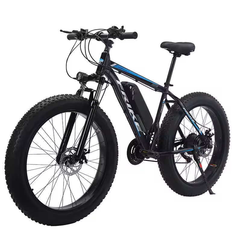 Newspeed hot selling 1000w fat tire e-bike/ beach electric bicycle for sale