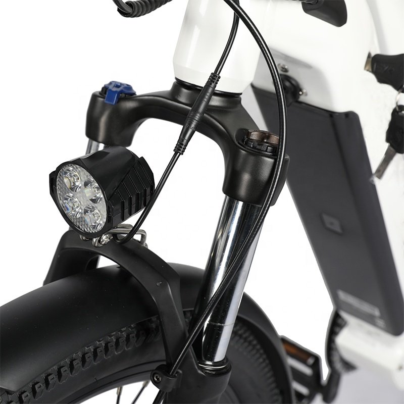 Electric City Bike 26 Inch*2.35 Electric Bicycle Electric Moped Bike For Ladies