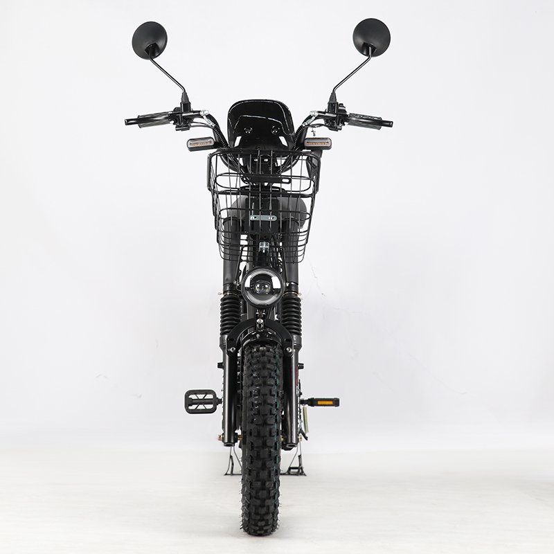 OEM Factory wholesale scooter V3 V8 monster 60V21Ah 1000W mountain city adults road fat tire cargo bike electric bicycle