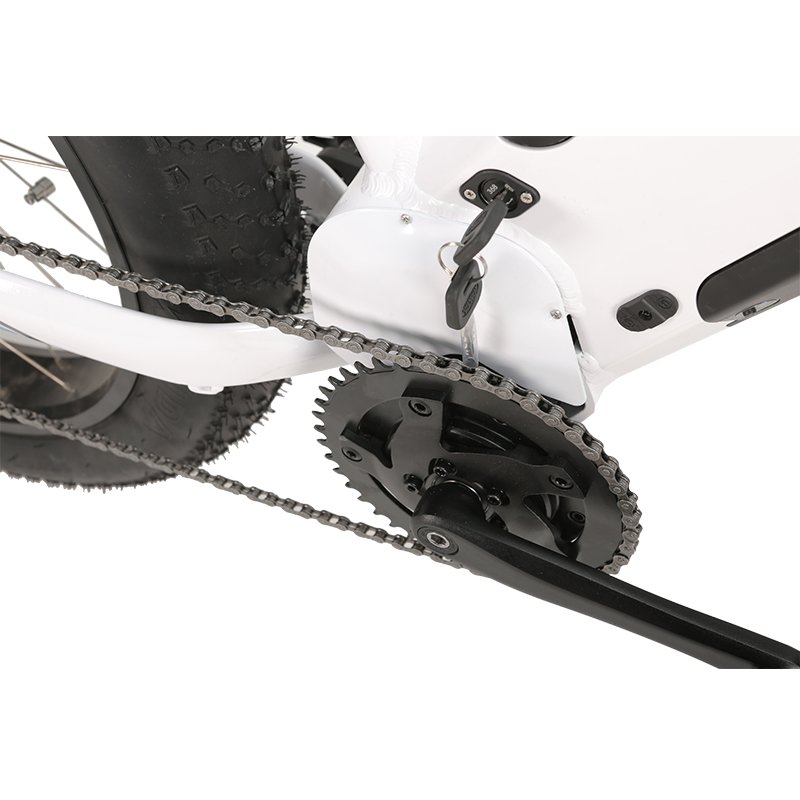 NEW STYLE 7 speed 48V1000W powerful middle motor electric mountain bike ATV