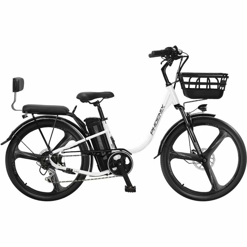 Electric Mountain Bike Helps Small Manufacturer Bicicleta Electrica Lithium Battery Electric Bicycle