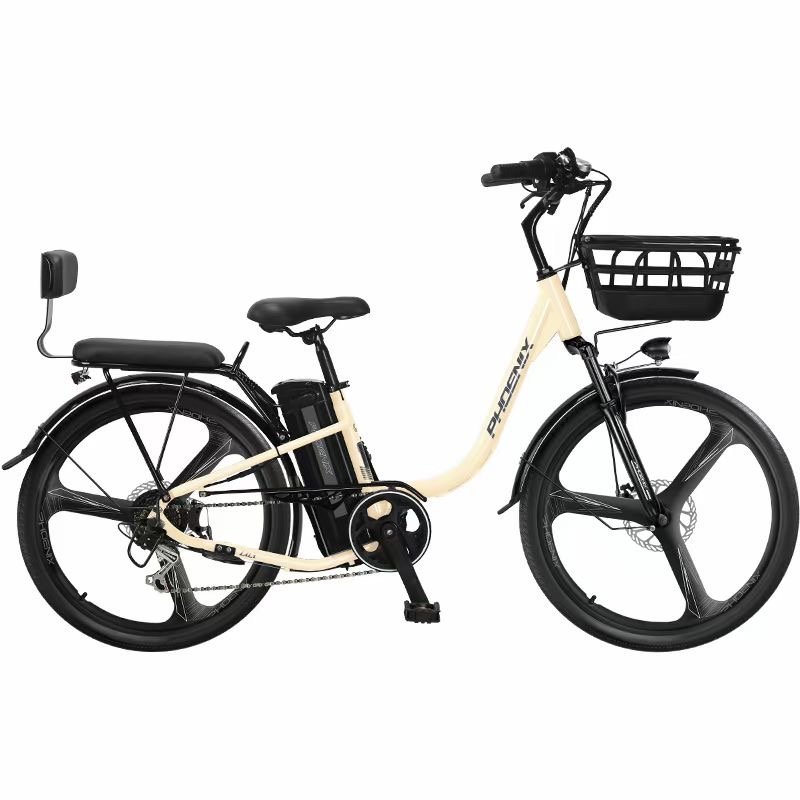 Electric Mountain Bike Helps Small Manufacturer Bicicleta Electrica Lithium Battery Electric Bicycle