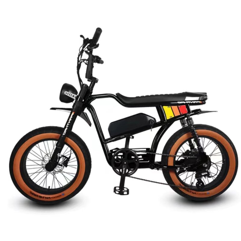 Style Cafe Racer Electric Bike Vintage E-bike 48V 750w Electric Bicycle 2024 Latest Hot Sale Fat Tire Retro Electronic 36V 150kg