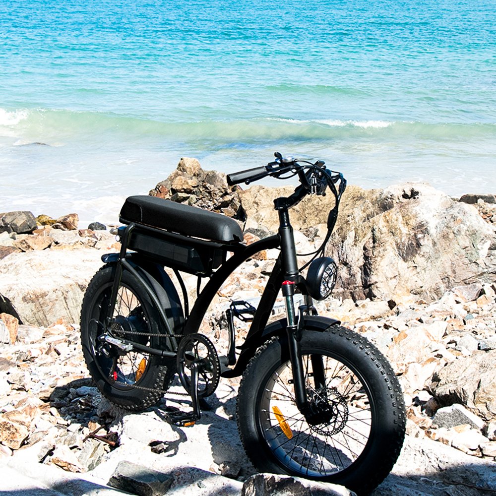 750w Fat Tyre electric bike Long range Electric bicycle Removable battery electric mountain bike e-bike
