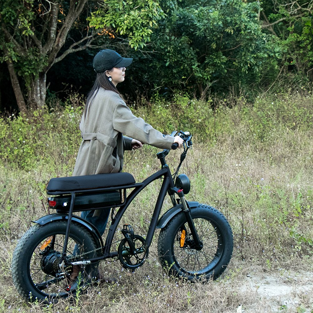 750w Fat Tyre electric bike Long range Electric bicycle Removable battery electric mountain bike e-bike
