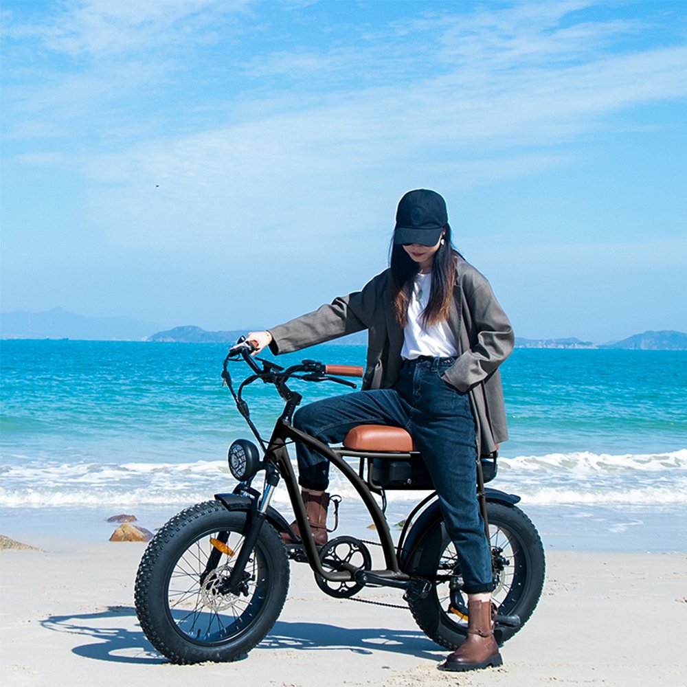 750w Fat Tyre electric bike Long range Electric bicycle Removable battery electric mountain bike e-bike