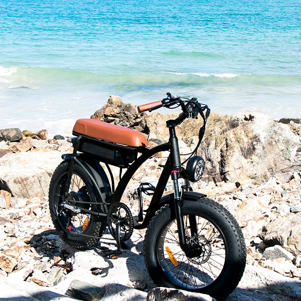 750w Fat Tyre electric bike Long range Electric bicycle Removable battery electric mountain bike e-bike