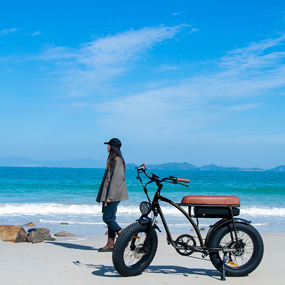 750w Fat Tyre electric bike Long range Electric bicycle Removable battery electric mountain bike e-bike