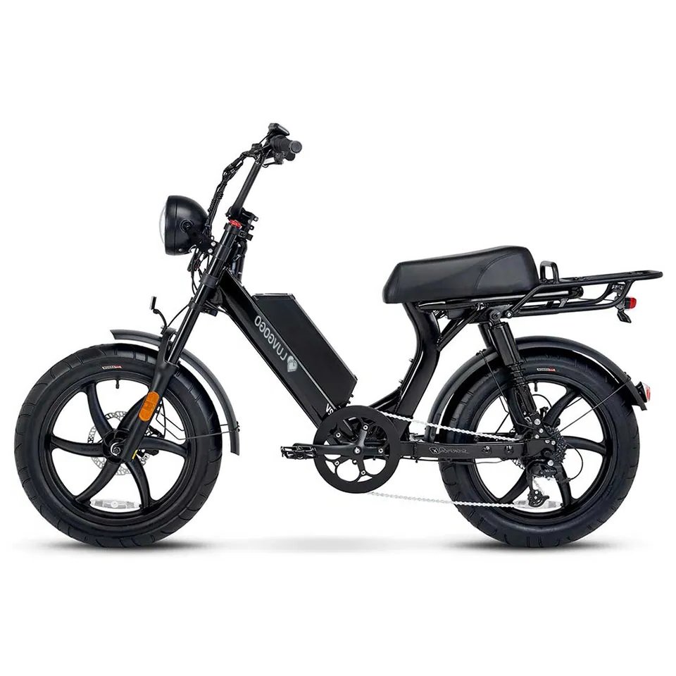 Electric Bike Bicycle Motorbike Exercise Electric City Bike 48v Bicycle Mountain 16ah ebike